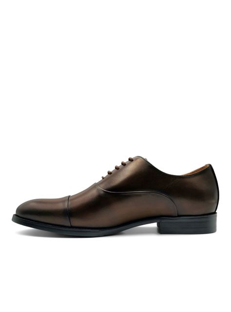 Zapato Hombre Julian Café Oscuro Templarios-2