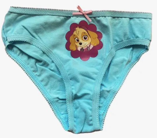 Calzones 3 unidades Paw Patrol Skye Talla 6-0