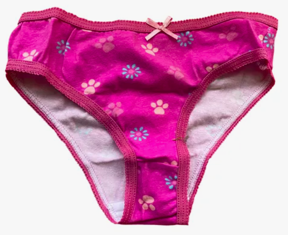 Calzones 3 unidades Paw Patrol Skye Talla 6-2