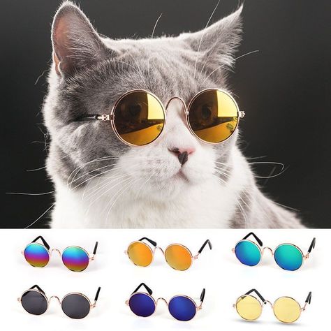 LENTES DE SOL, GAFAS DE SOL PARA PERROS Y GATOS, COLORES AL AZAR -2