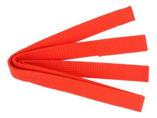 Cinturon Artes Marciales 2.4m Karate Taekwondo Judo Norplat-4