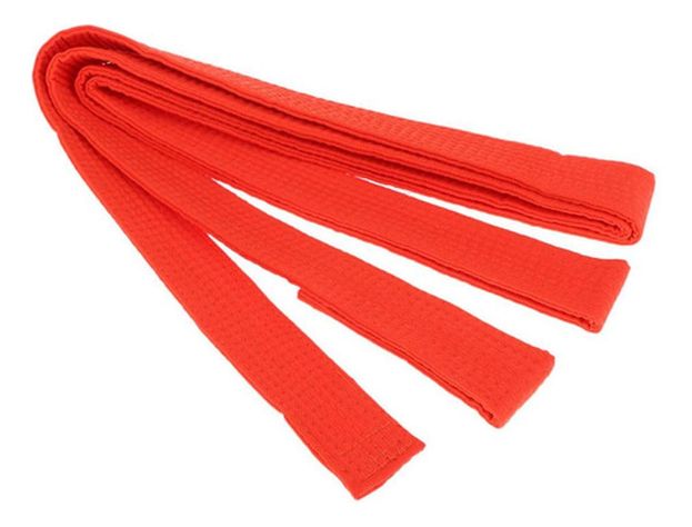 Cinturon Artes Marciales 2.4m Karate Taekwondo Judo Norplat-5