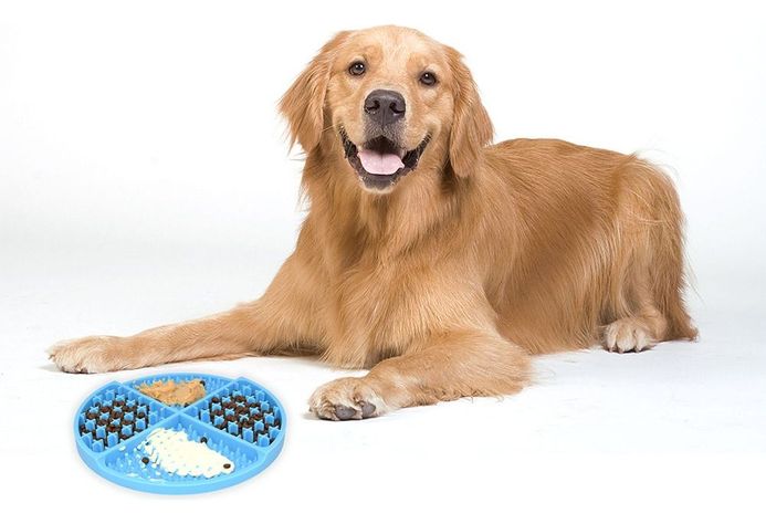 Plato Anti Ansiedad Come Lento Para Perro Mascota - Celeste - Norplat-1