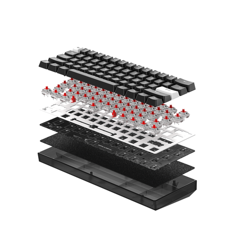 Teclado Gamer Fantech MAXFIT 61 MK857 Black Wireless SW Blue-4