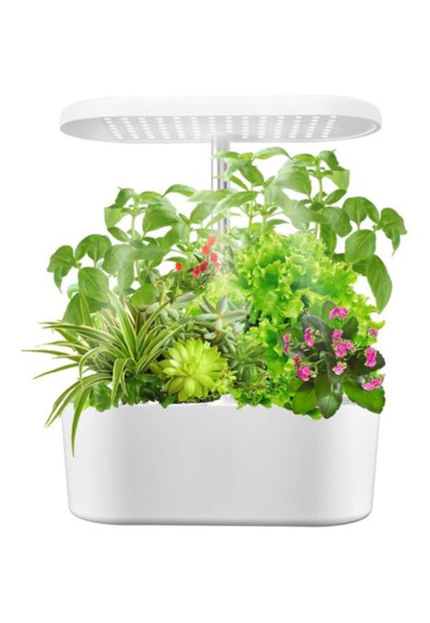 Sistema de cultivo hidropónico para interiores-0