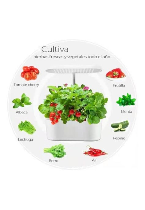 Sistema de cultivo hidropónico para interiores-1