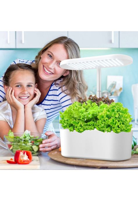 Sistema de cultivo hidropónico para interiores-3