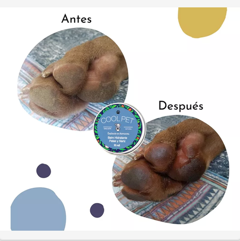 Balsamo Patas Y Nariz Para Perros Coolpet 30ml-1
