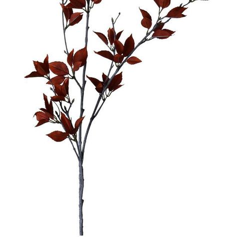 Rama Decorativa de Eucalipto Rojo 120 Cms.-1