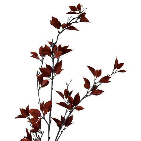 Rama Decorativa de Eucalipto Rojo 120 Cms.-2