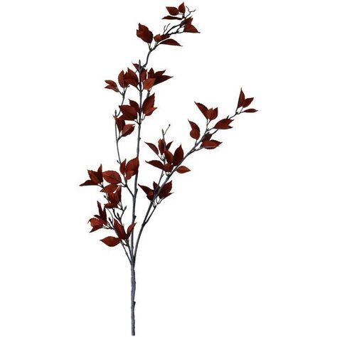 Rama Decorativa de Eucalipto Rojo 120 Cms.-0