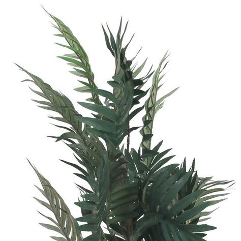 Planta Decorativa Palma Areca 110 Cms.-2