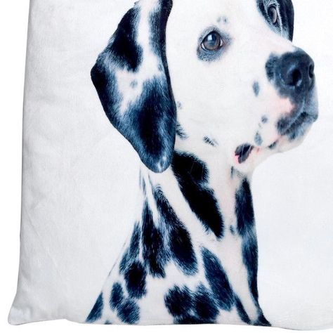 Funda Decorativa Para Cojín Dálmata Pintado-1
