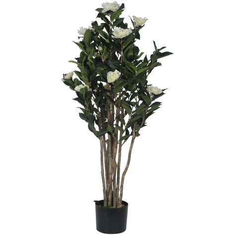 Planta Decorativa Camelia Japonica 120 Cms.-0
