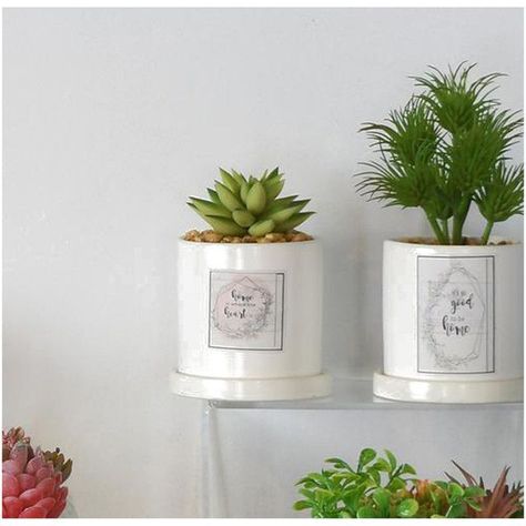 Planta Decorativa Home in The Heart-2