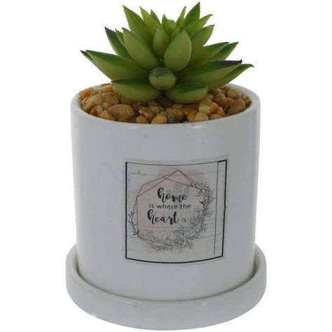 Planta Decorativa Home in The Heart-0
