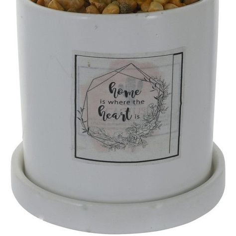 Planta Decorativa Home in The Heart-1