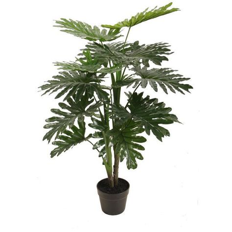 Planta Decorativa Philodendron 90 Cms.-0