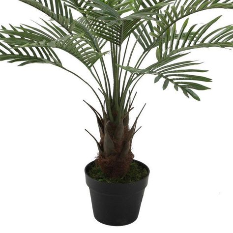 Planta Decorativa Palma Phoenix 90 Cms.-2