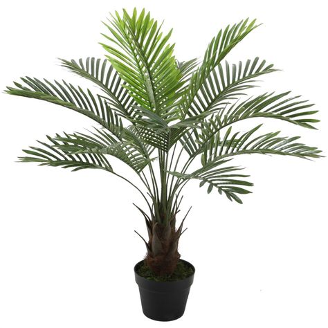 Planta Decorativa Palma Phoenix 90 Cms.-0