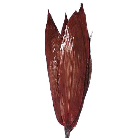 Arreglo Decorativo Ramo Aspidistra Rojo Seco 6 Piezas-1