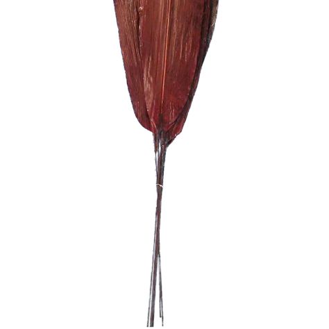 Arreglo Decorativo Ramo Aspidistra Rojo Seco 6 Piezas-2