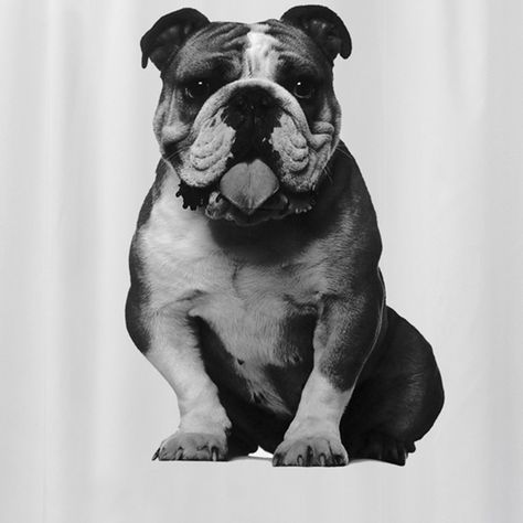 Cortina para Baño Estampada Bulldog Mallorca-2