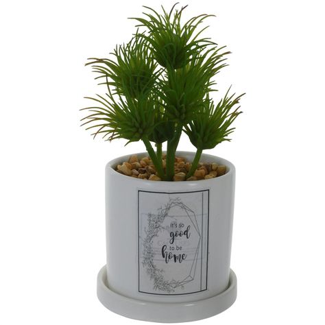 Planta Decorativa Good To Be Home Maceta Blanca-0