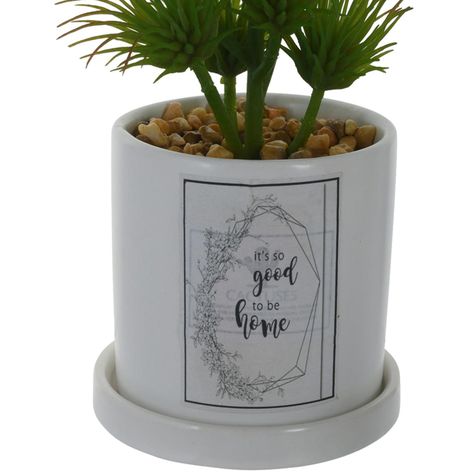 Planta Decorativa Good To Be Home Maceta Blanca-1