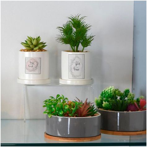 Planta Decorativa Good To Be Home Maceta Blanca-2
