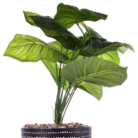 Planta Artificial Dieffenbachia Maceta Congo-2