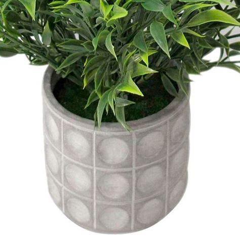 Planta Decorativa Artificial Laurus-1