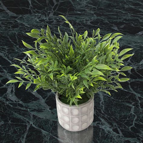 Planta Decorativa Artificial Laurus-3