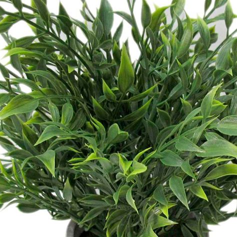 Planta Decorativa Artificial Laurus-2