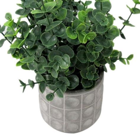 Planta Decorativa Artificial Suculenta-1