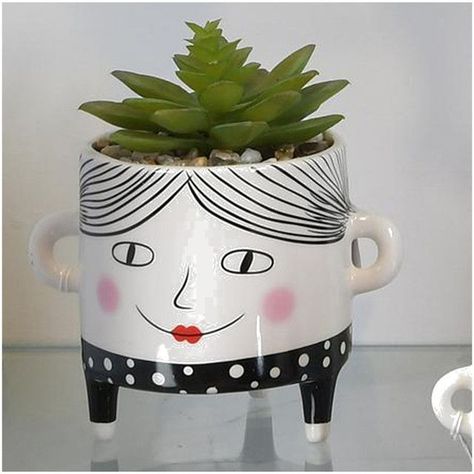Suculenta Decorativa Sofia Verde con Maceta-2