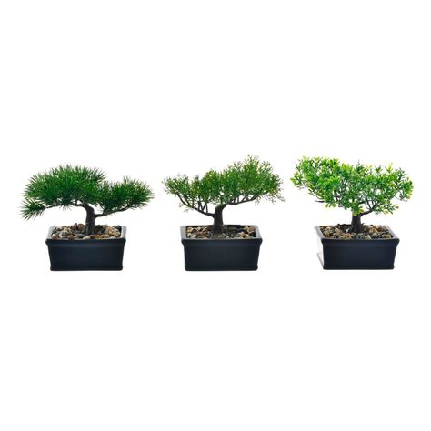Set Decorativo Bonsai Maceta Negra 3 Pzas-0