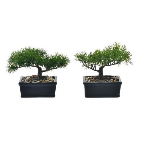 Set Decorativo Bonsai Maceta Negra 3 Pzas-2