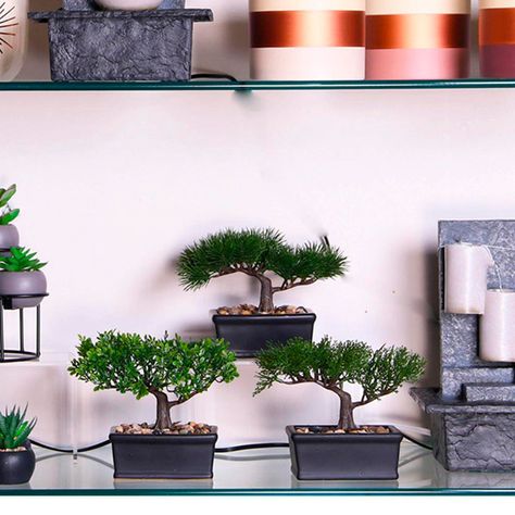 Set Decorativo Bonsai Maceta Negra 3 Pzas-3