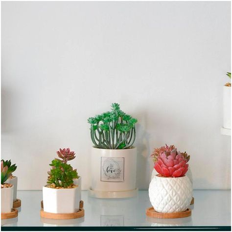 Planta Decorativa All You Need Love Maceta Blanca-2