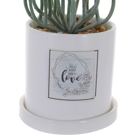 Planta Decorativa All You Need Love Maceta Blanca-1
