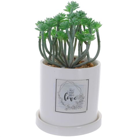 Planta Decorativa All You Need Love Maceta Blanca-0