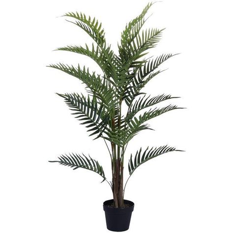 Planta Decorativa Palma Areca 120 Cms.-0