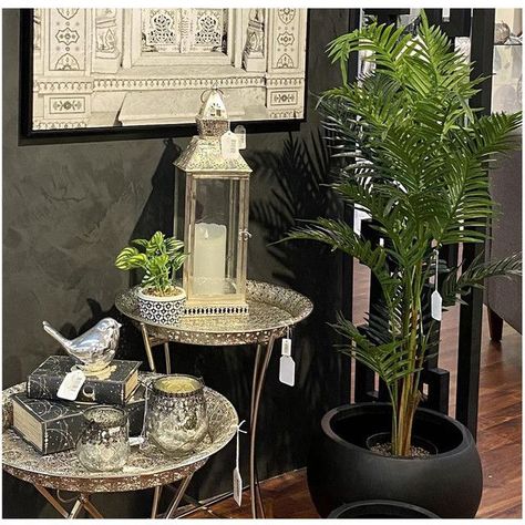 Planta Decorativa Palma Areca 120 Cms.-2