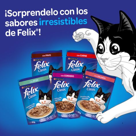 Sachet Felix Pollo 15 un.-3