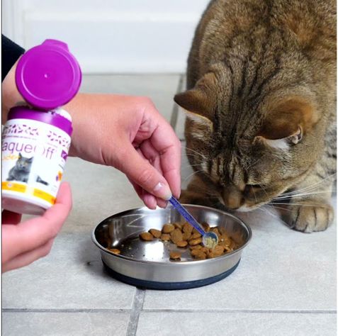Polvo Cuidado Dental Gatos 40 Grs. - Plaque Off-4
