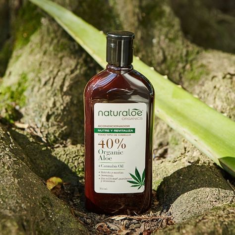Acondicionador Naturaloe Aceite de Cañamo 350ml-1