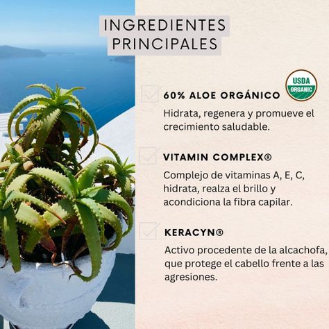 Shampoo Naturaloe Hidratación Y Brillo 350ml-1