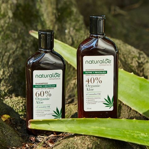 Shampoo + Acondicionador Cañamo 350ml Naturaloe-1