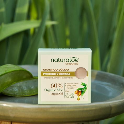 Shampoo Sólido Naturaloe Reparación y Protección 83gr-1